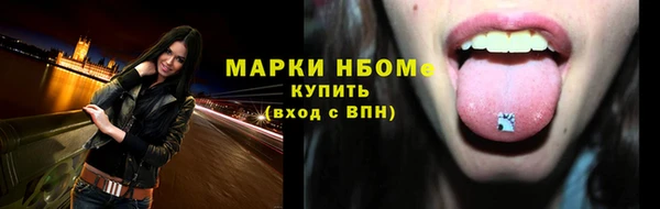 шишки Балахна