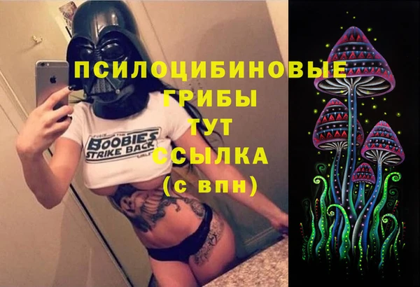 шишки Балахна