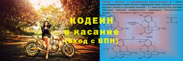 трава Аркадак